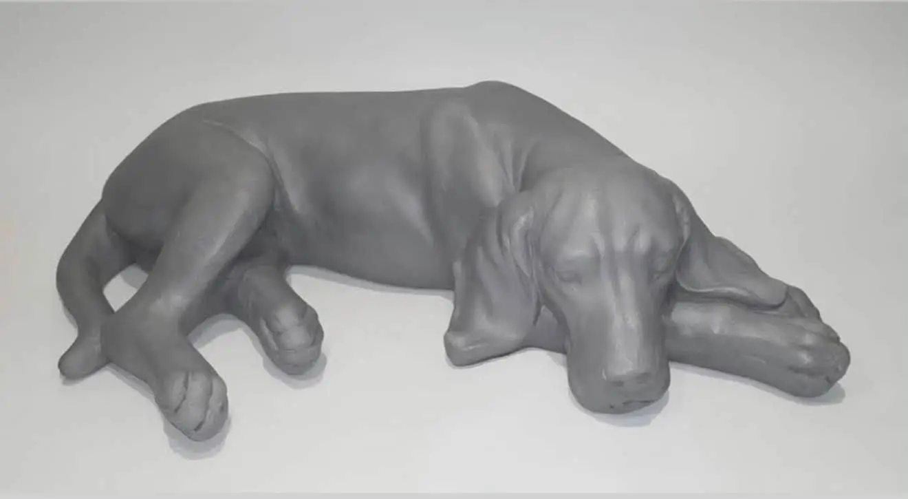 A sleeping hound